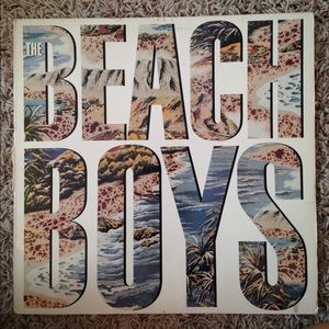 The Beach Boys record